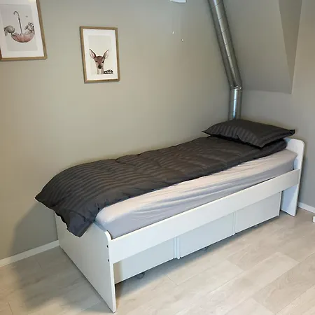 Large House With 3 Bedrooms And A Private Garden Appartamento *